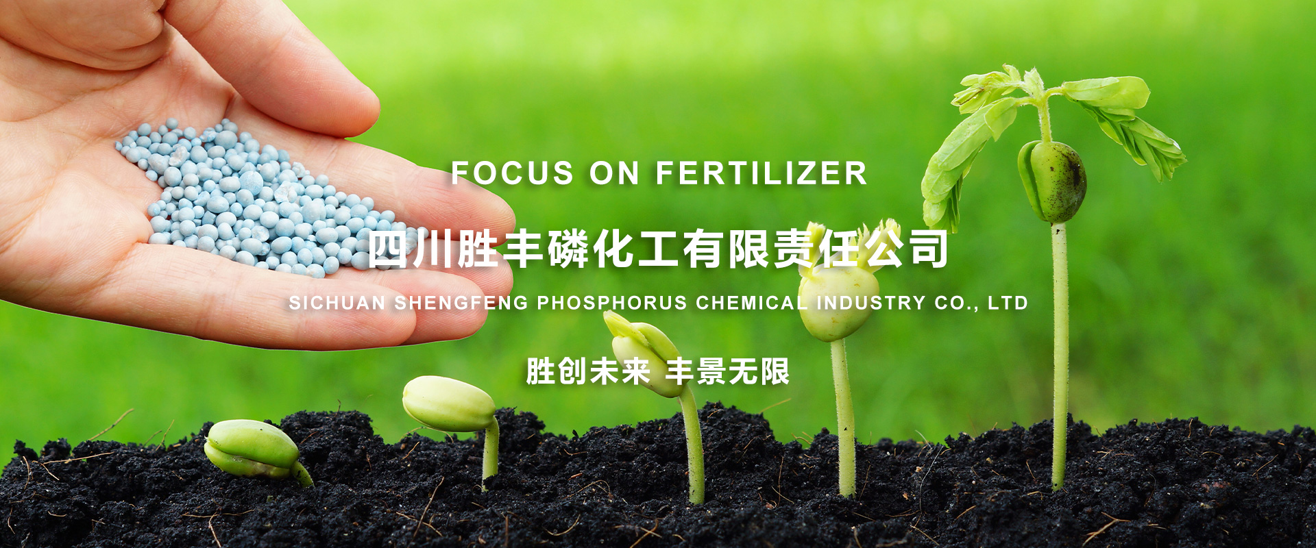 通栏图片
